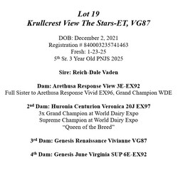 287233