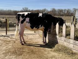 312024