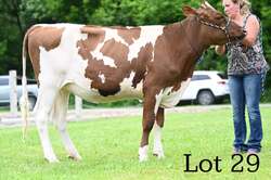 325927
