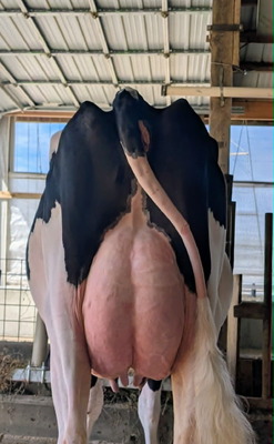 317874