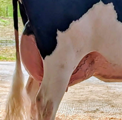 317880