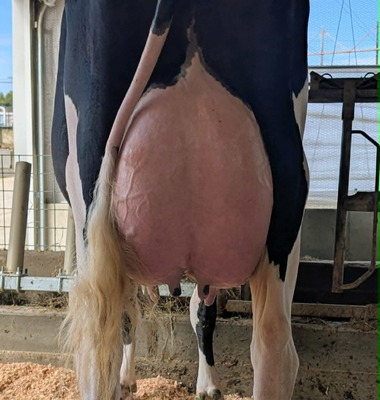 317889