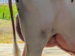 317716