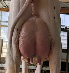 317718