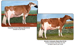 317937