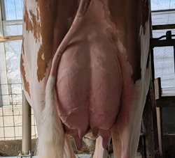 317955