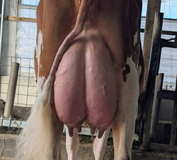 317960