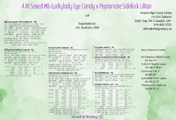 316726