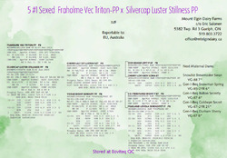 316748