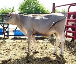 323290