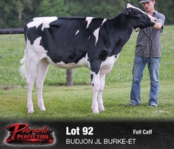 326254