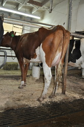 324455