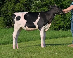 327704