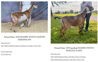 326010
