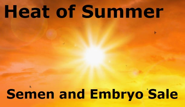 Heat of summer online semen and embryo sale