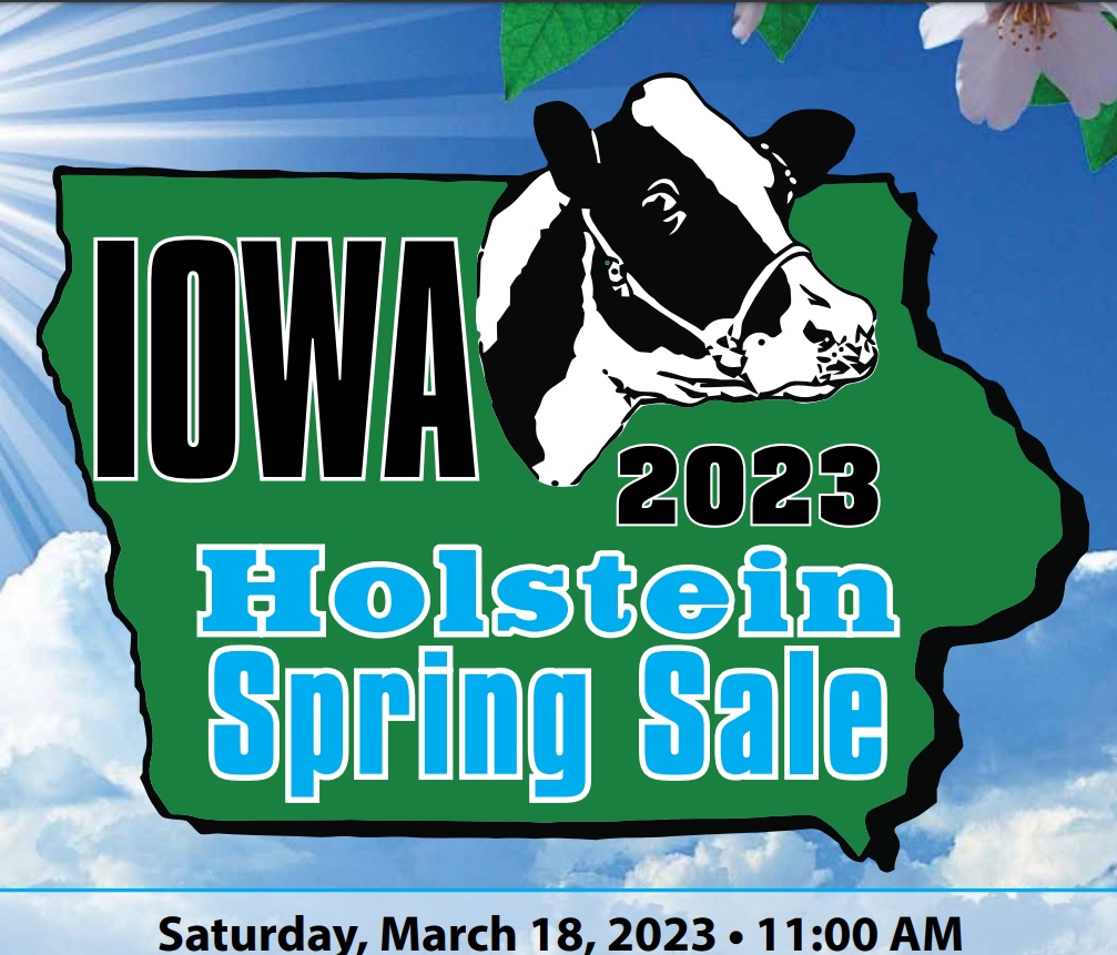 Iowa Spring Holstein Sale