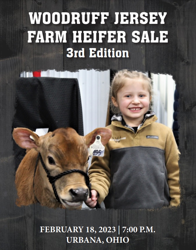 3rd Annual Woodruff Jersey Heifer Sale