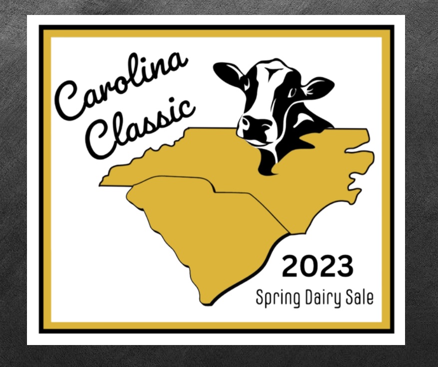 Carolina Classic Calf Sale