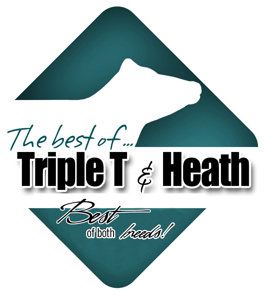The Best of Triple T and Heath