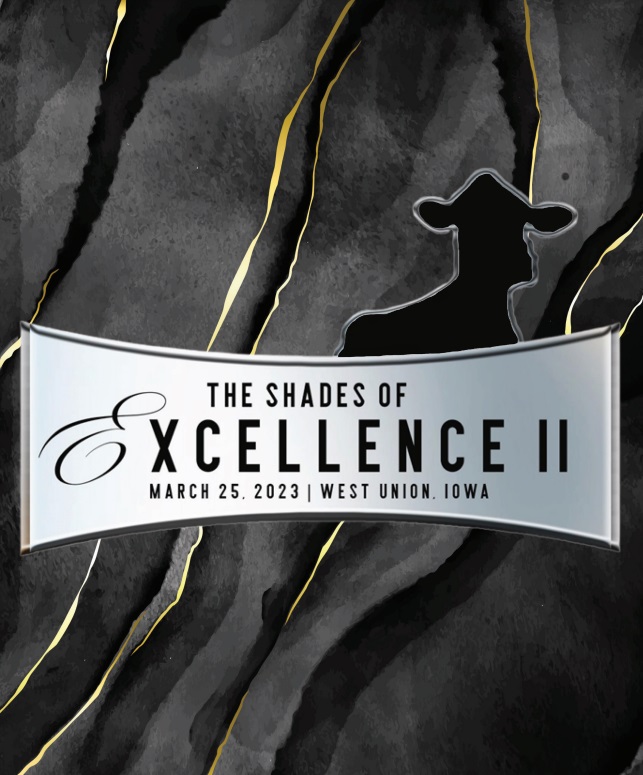 The Shades of Excellence Sale