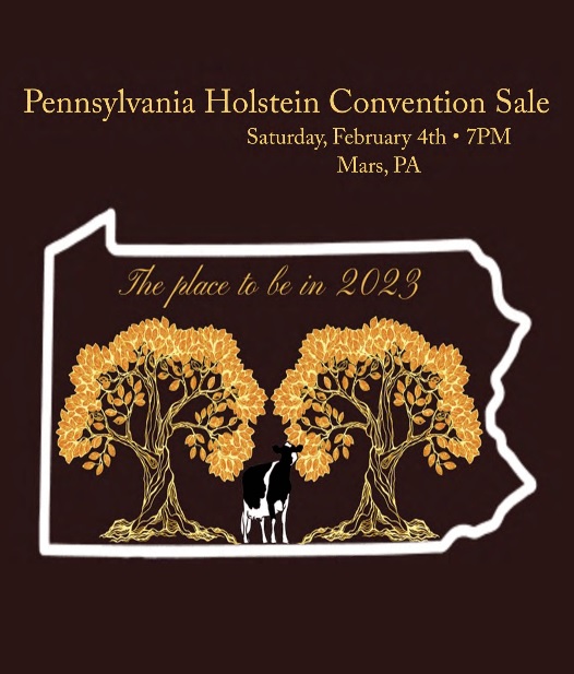 2023 PA Holstein Convention Sale