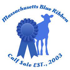 MA Blue Ribbon Calf Sale