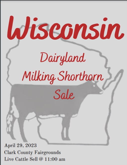 Dairyland Milking Shorthorn Sale