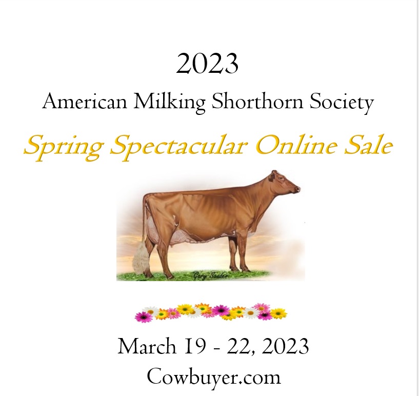Spring Spectacular Online Sale - American Milking Shorthorn Society