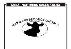 Great Northern May Dairy Production Sale