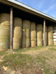 NCDA Upper Mountain Research Station Online Hay Sale