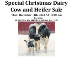 DAIRY COW AND HEIFER SALE - BRUBACKER'S QUALITY DAIRY SALES