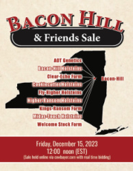 Bacon Hill & Friends Sale