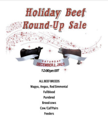 Holiday Beef Round Up Sale