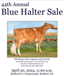 44th Annual Blue Halter Sale