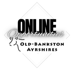 Online Opportunities @ Old-Bankston Ayrshires