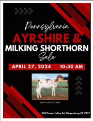 2024 PA Ayrshire and Milking Shorthorn Sale