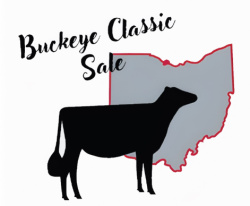 OSU Buckeye Classic Sale