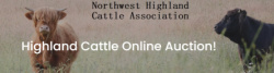 Northwest Highland Cattle Association Online Sale