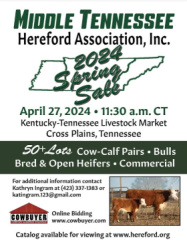 Middle Tennessee Hereford Association 2024 SPRING SALE