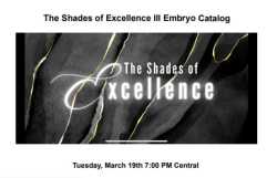 The Shades of Excellence III Embryo Online Sale