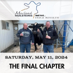 Macland Holsteins - Final Chapter