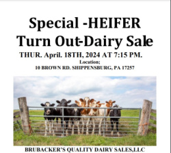 Brubacker Monthly Dairy Sale