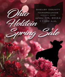 Ohio Holstein Association Spring Sale