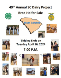 49th Annual SC Dairy Project Bred Heifer Sale