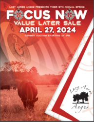 Lazy Acres Angus Focus Now Value Later Sale