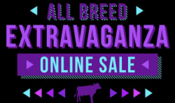 All-Breeds Extravaganza Online Sale