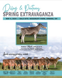 Diley & Partners Spring Extravaganza Sale