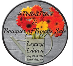 #PolledPlace & Bouquet of Breeds Sale: Legacy Edition