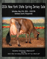2024 New York State Spring Jersey Sale