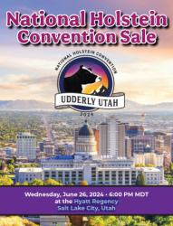 National Holstein Convention Sale